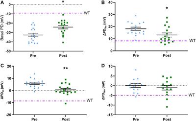 Single-Dose Lentiviral Mediated Gene Therapy Recovers CFTR Function in Cystic Fibrosis Knockout Rats